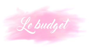 budget