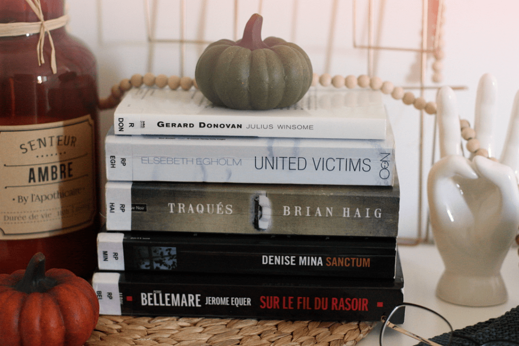 J&rsquo;AI TESTÉ : LA VENTE DE LIVRES DES BIBLIOTHÈQUES DE&nbsp;RENNES